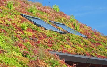 Bostock Green living roof systems